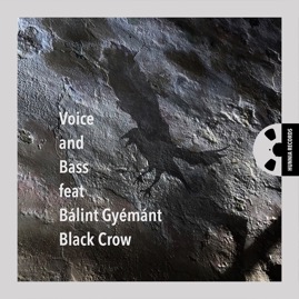 HRCD2015 Voice and Bass feat. Bálint Gyémánt &ndash; Black Crow