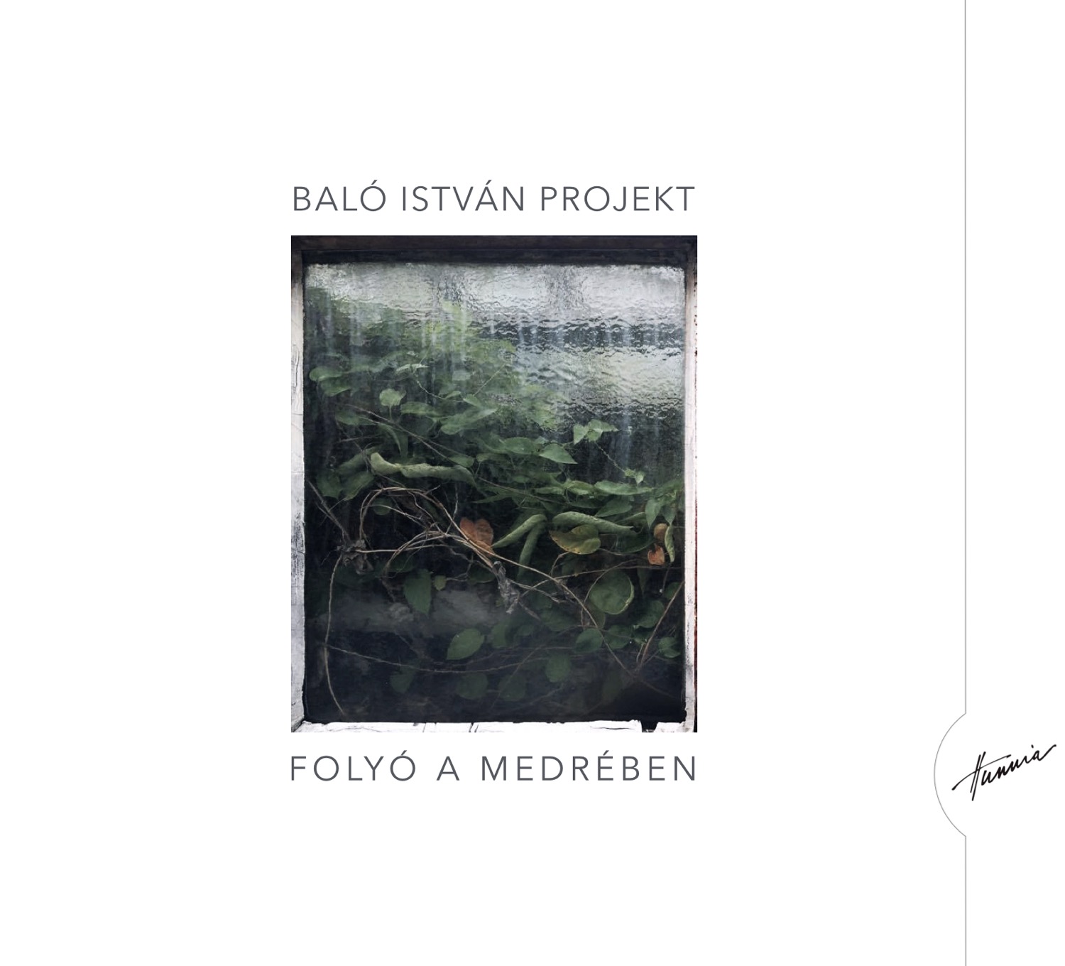 HRCD1735 Baló István Projekt &ndash;  Folyó a medrében