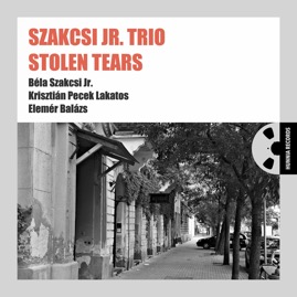 HRLP2315 Szakcsi Jr. Trio &ndash; Stolen Tears