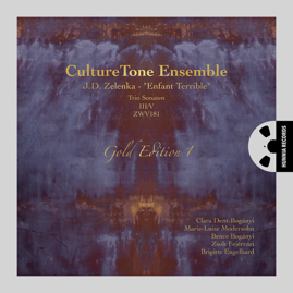 HRCD2240-1-2 Gil Sullivan – Hidden Voices, Mozart Piano Sonatas, Volume I-II (Double CD)