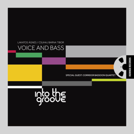 HRES1302 Voice and Bass – Into the Groove