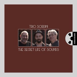 HRES2418 Trio Sordini &ndash; The secret life of sounds