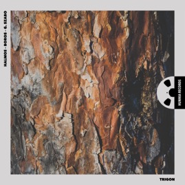 HRES2113 Halmos - Boros - G. Szabo &ndash; Trigon cover