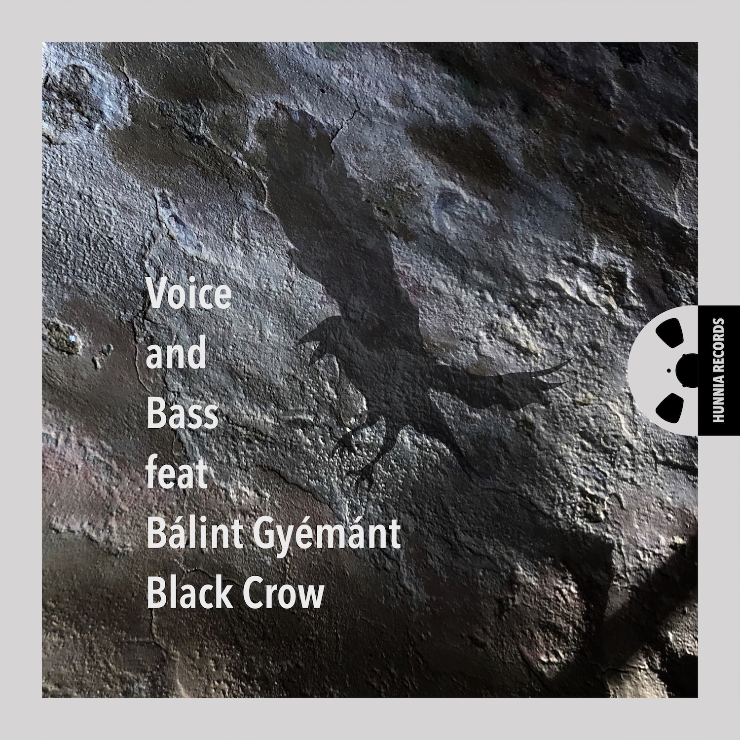 HRES2015 Voice and Bass feat. Bálint Gyémánt &ndash; Black Crow