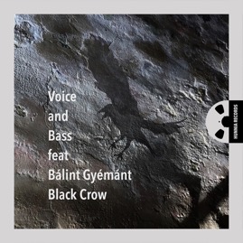 HRES2015 Voice and Bass feat. Bálint Gyémánt &ndash; Black Crow